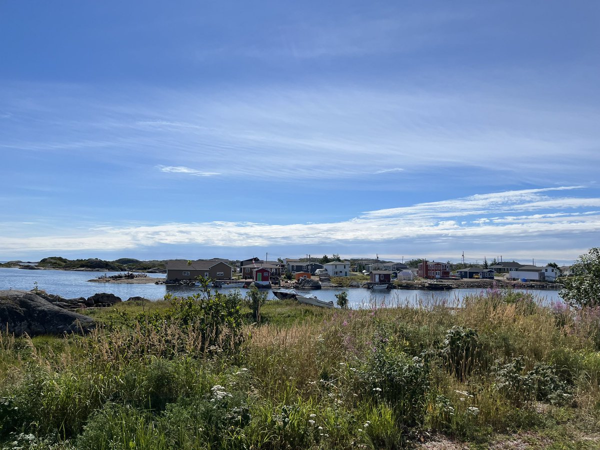 Beautiful view from MIL’s patio in Badger’s Quay #arounddabay #NL #Summer2022