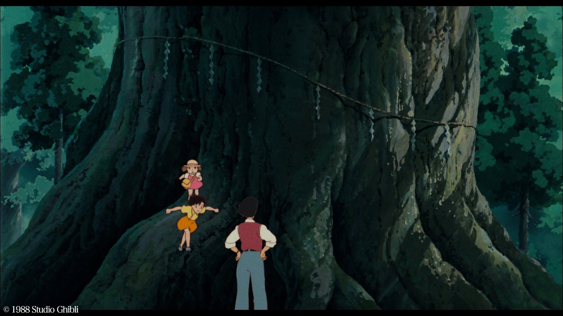 アンク 金曜ロードショー公式 おとうさん むかーし昔は 木と人は仲良しだったんだよ となりのトトロ スタジオジブリ 金曜ロードショー T Co 1dgilkszcw Twitter