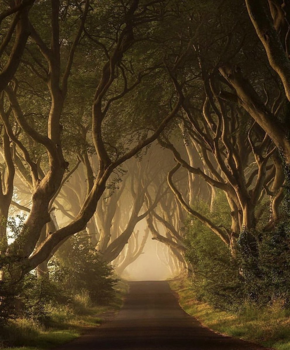 Photography is something that embraces reality in such a subtle way that it actually becomes something more than a reality. 📸 

Happy #WorldPhotographyDay friends! 😄

#RoamLocal