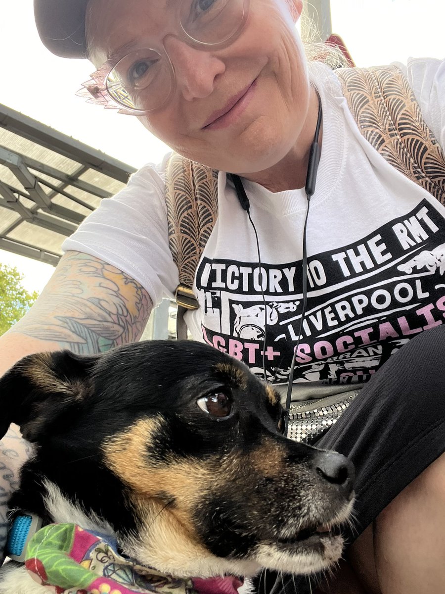 Bird la BIrd tweet media