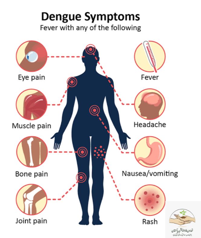 taawunfoundati2's tweet photo. Dengue Symptoms! 

#AntiDengueAwarenessCampaign #BreakBoneFever #DengueSymptoms #MushtaqMangat #TaawunFoundationPakistan https://t.co/X1CCkZdNUH
