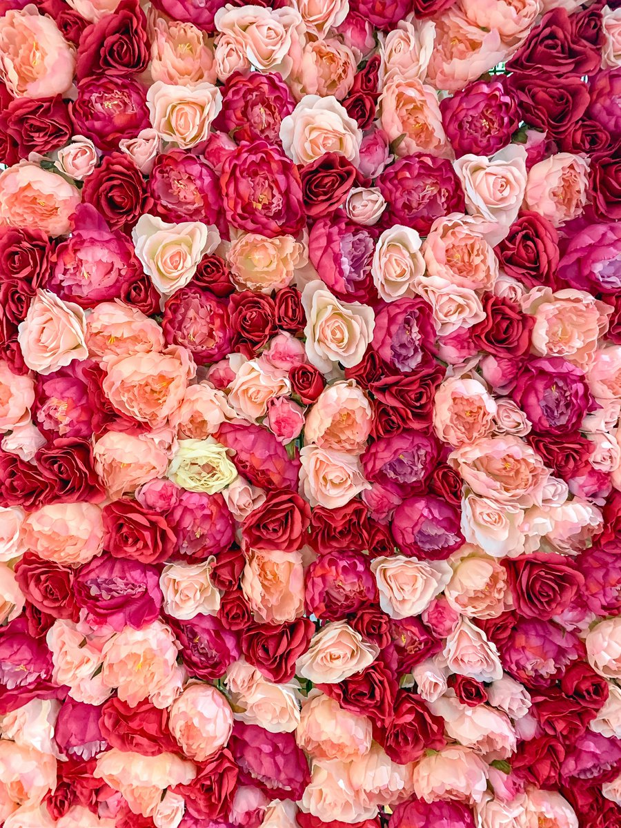 disruptingdeath's tweet photo. Given the choice, do you send flowers or make a donation to the selected charity?

#endoflife #disruptingdeath #90questions 
https://t.co/Yx8z6Faslz https://t.co/cIZyoQuy54