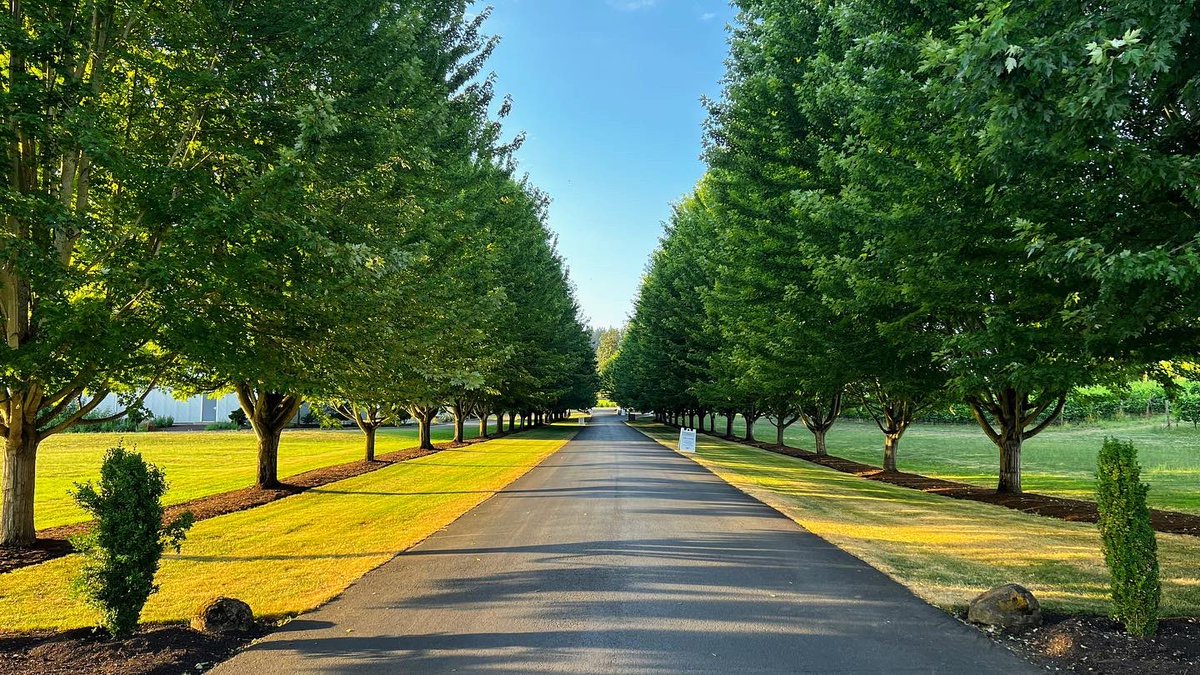 Stoller Family Estate tweet media