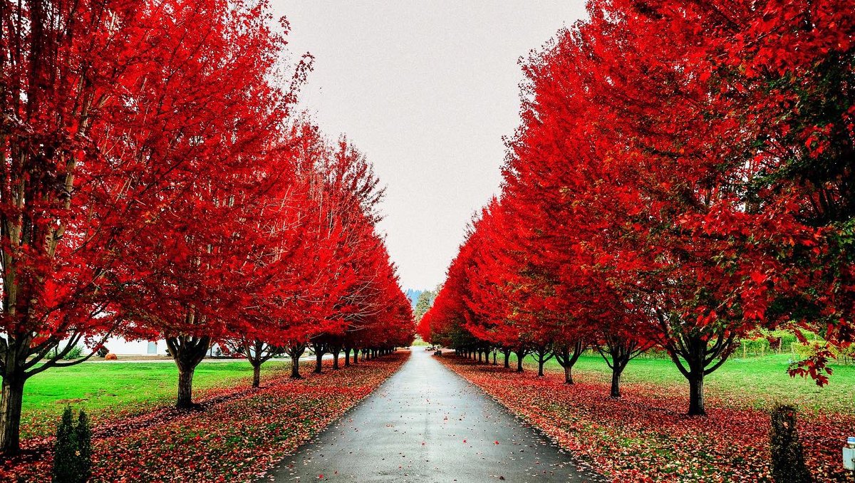 Stoller Family Estate tweet media