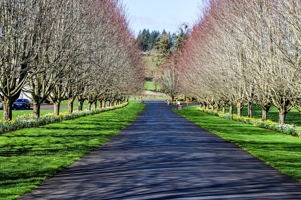 All roads lead to happiness. What’s your favorite time of the year to visit Stoller?
#Bcorp #oregonwinecountry #drinkstoller #traveloregon #weekendvibes #gowinetasting