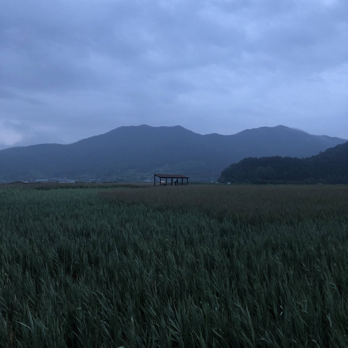 현지인들이 추천해준 곳 중 괜찮았던 곳들만 모아 정리하는 순천 &amp; 여수 맛집 타래.