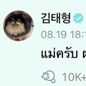 ม๋า tweet media