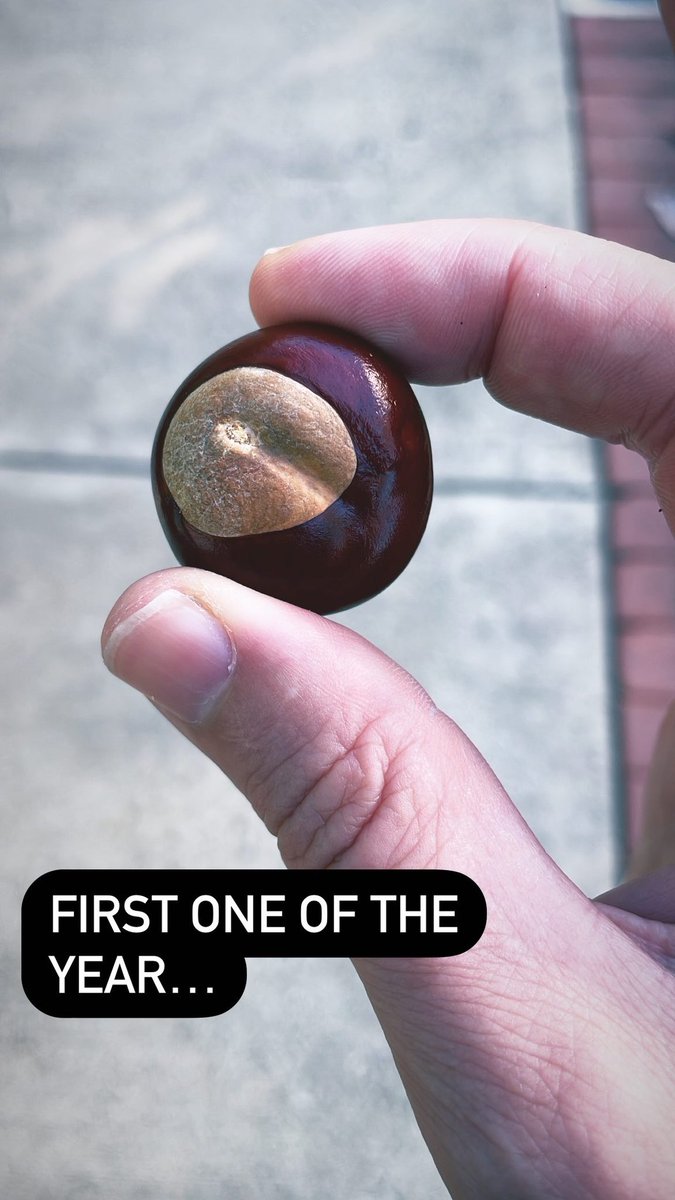 TJ Logan tweet media