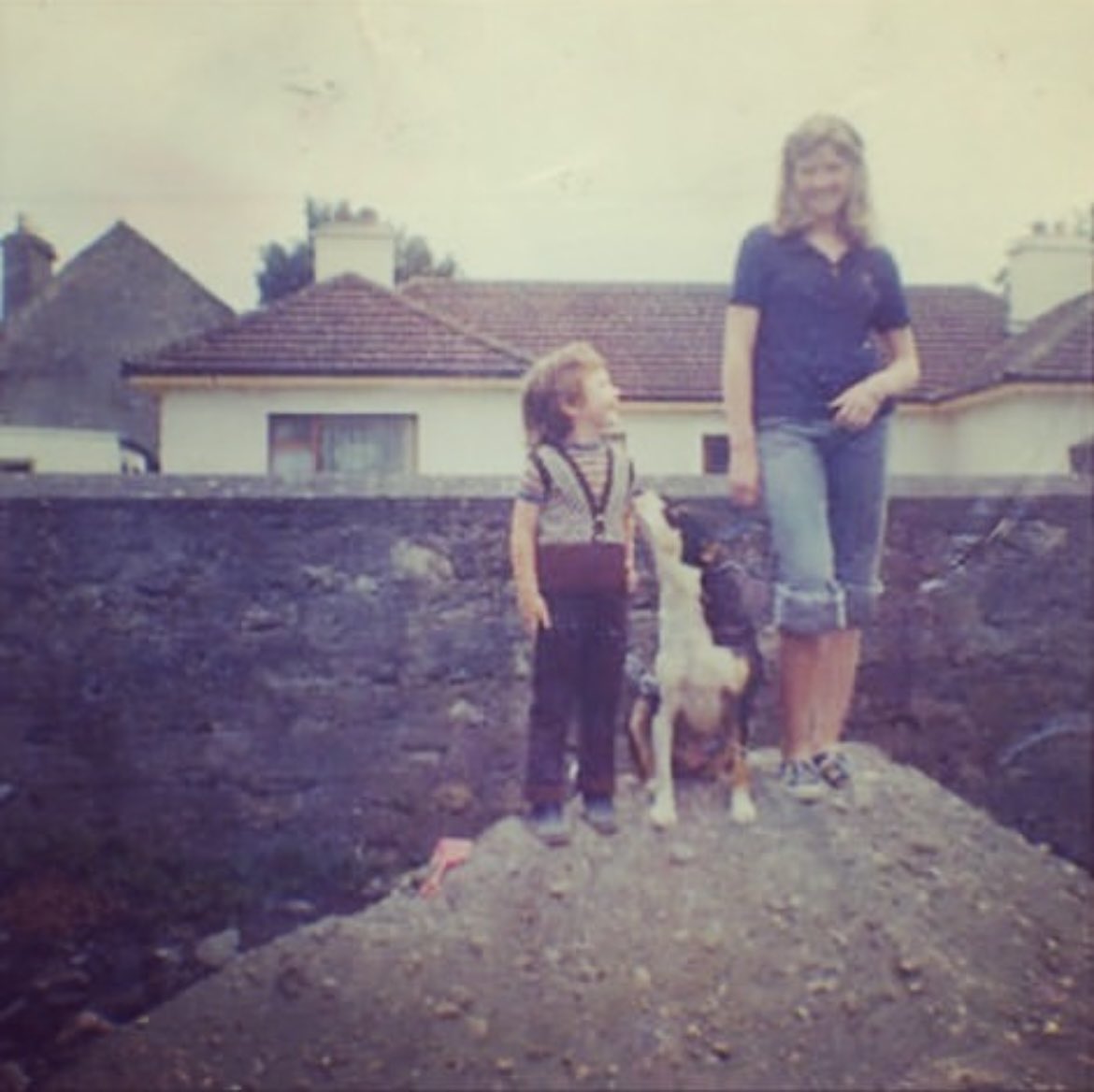Jenny Wren tweet media