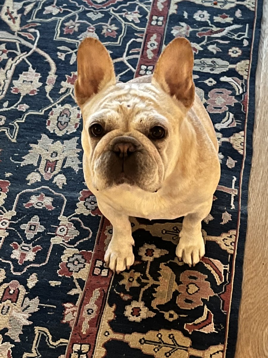 <a href="/AdamParkhomenko/">Adam Parkhomenko</a> Sofia ♥️