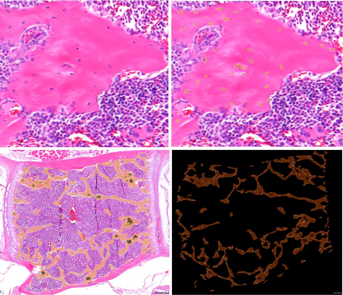 Lena Batoon, PhD tweet media