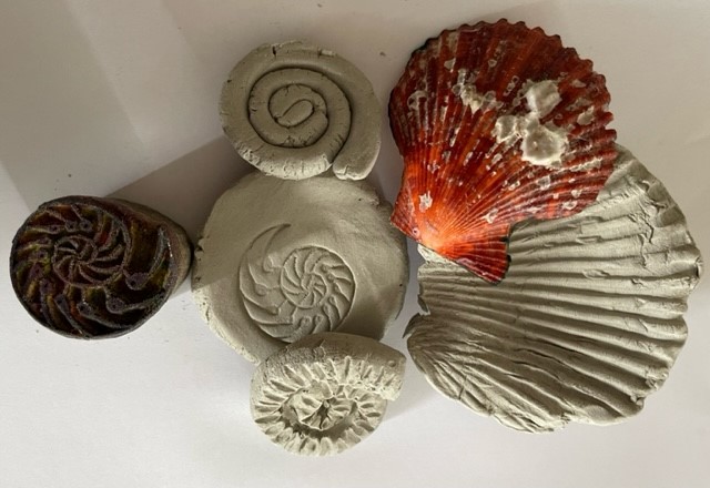 Join us this weekend for our Fossil in Clay craft (11-3 Sat-Sun. £3 per child). We are also having a Chocolate cake weekend at the museum!