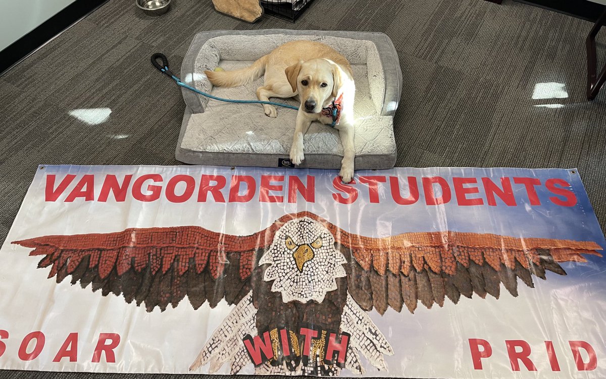 We are looking forward to seeing all of our ⁦<a href="/VgEagles/">VGEagles</a>⁩ at ⁦<a href="/EAST_HAWKS/">Lakota East High</a>⁩ Future Hawks Night tonight at 5:30! The fun, festivities, and football game are all free for PreK-6 students. #WEareLakota #LetsGoHawks