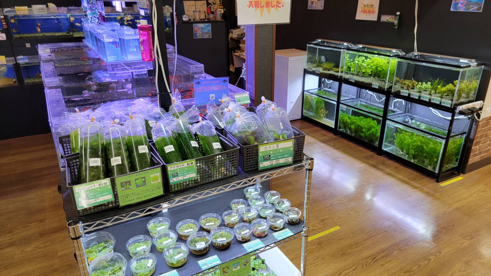 斉藤彰宏 Ibla7xwf1tncaph Twitter