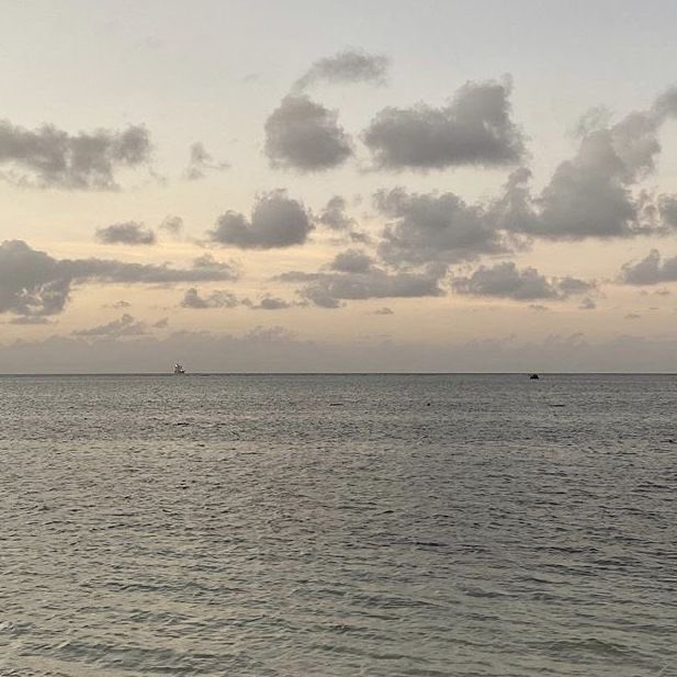 i am not your ocean anymore tweet media