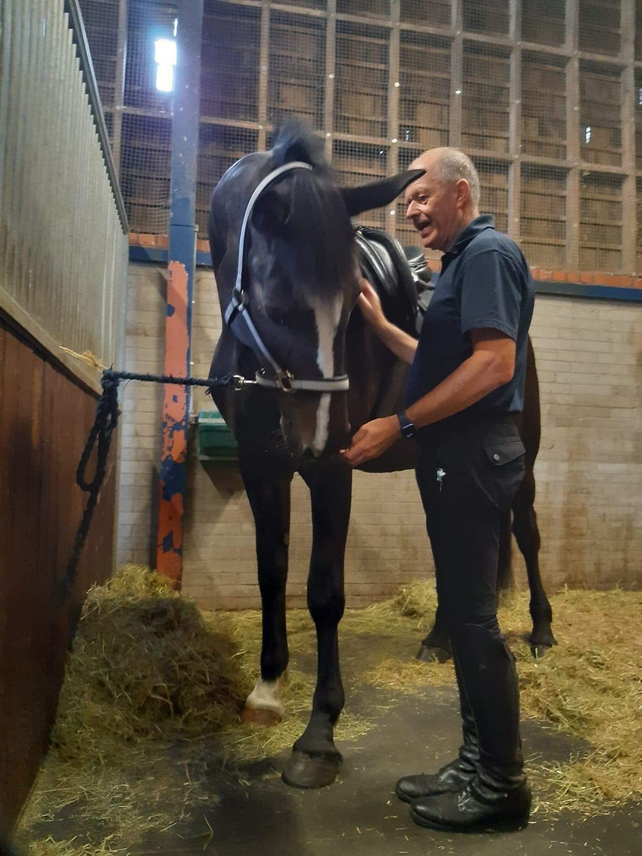 GMP Tactical Mounted Unit (GMPHorses) / Twitter