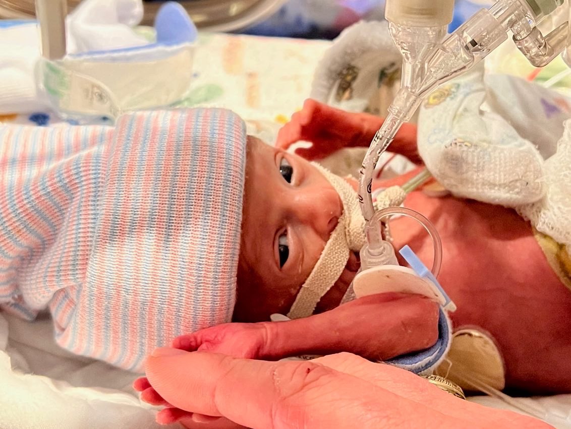 Edward Steinhauser tweet media