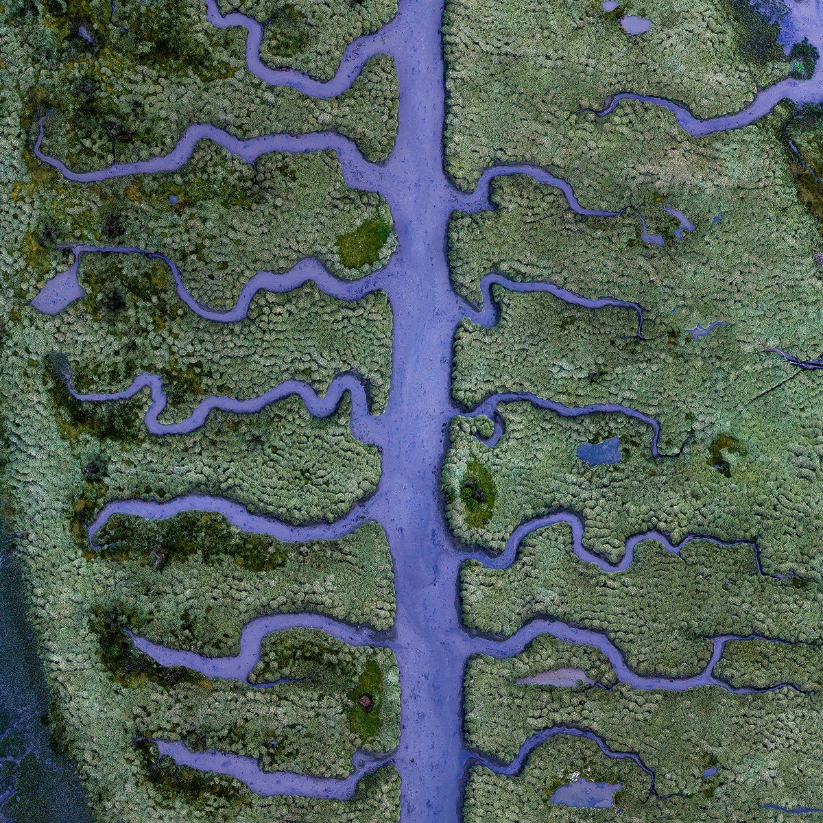 NaoCasanova's tweet photo. No dejéis de visitar esta web: https://t.co/fYi8xQaqYl, que recoge fotografías aéreas de cursos fluviales.

1ª: Ría de BETANZOS
2ª: campos de trigo y antiguos humedales de BURGO DE EBRO
3ª: RÍO TINTO en Huelva
4ª: garganta de FJAÐRÁRGLJÚFUR (Islandia)
#DiaMundialdelaFotografia 📷 https://t.co/yEnzy2BXRN