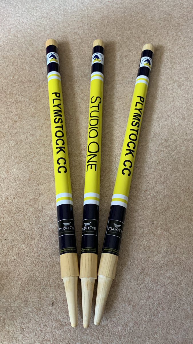 Plymstock Cricket tweet media