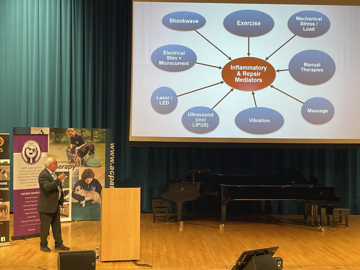 Canine Arthritis Management tweet media