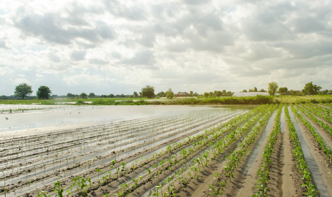 GWP is especially highlighting its work on building resilience to drought and flooding to safeguard populations and reduce poverty in the context of climate change impacts. 

Join us at #WWWeek 2022: gwp.org/en/About/more/…