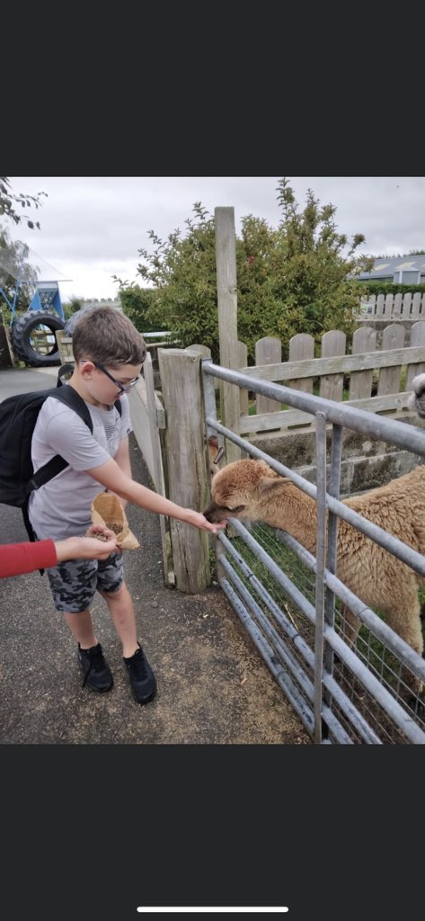 CLD_SAC's tweet photo. To finish off the Summer Holidays North Carrick Summer Programme took a trip to the Farm Park πππͺ
πΈMaking Memories
#SASummer22
#ThrivingCommunities https://t.co/kOFhSvlkBJ
