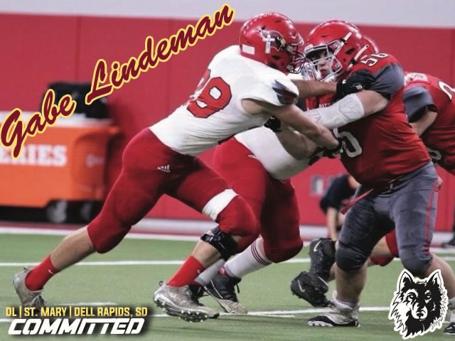 Gabriel Lindeman tweet media