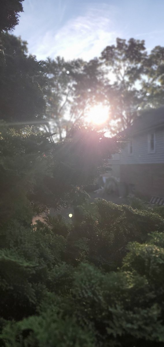 Courtney Miller tweet media