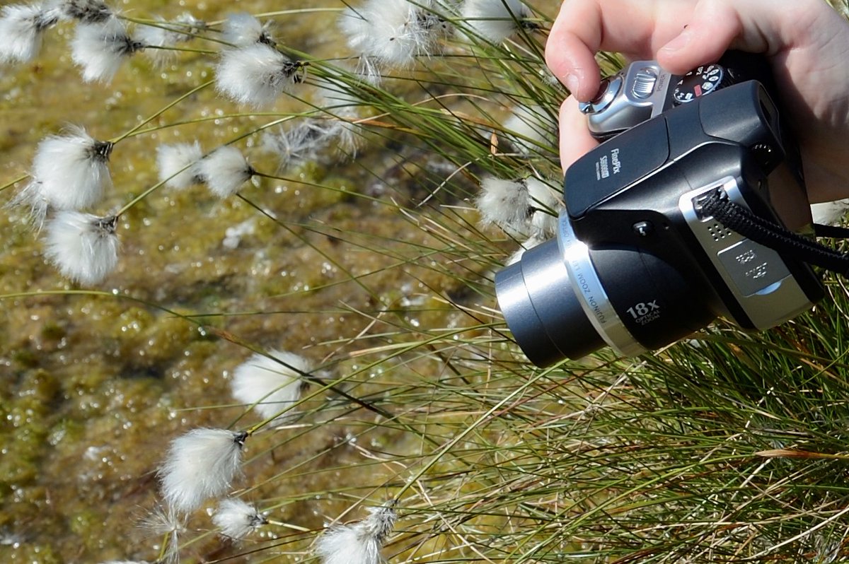 PeatlandACTION's tweet image. Mark #WorldPhotographyDay2022 by entering peatland-themed photo competition. Winning entries to feature in @nature_scot 2023 #calendar
#PeatlandLandscapes
#PeatlandWildlife
#PeatlandWeatherAndClimate
#WhatPeatlandsMeanToMe
#PeatlandRestorationInAction
nature.scot/peatlandaction…