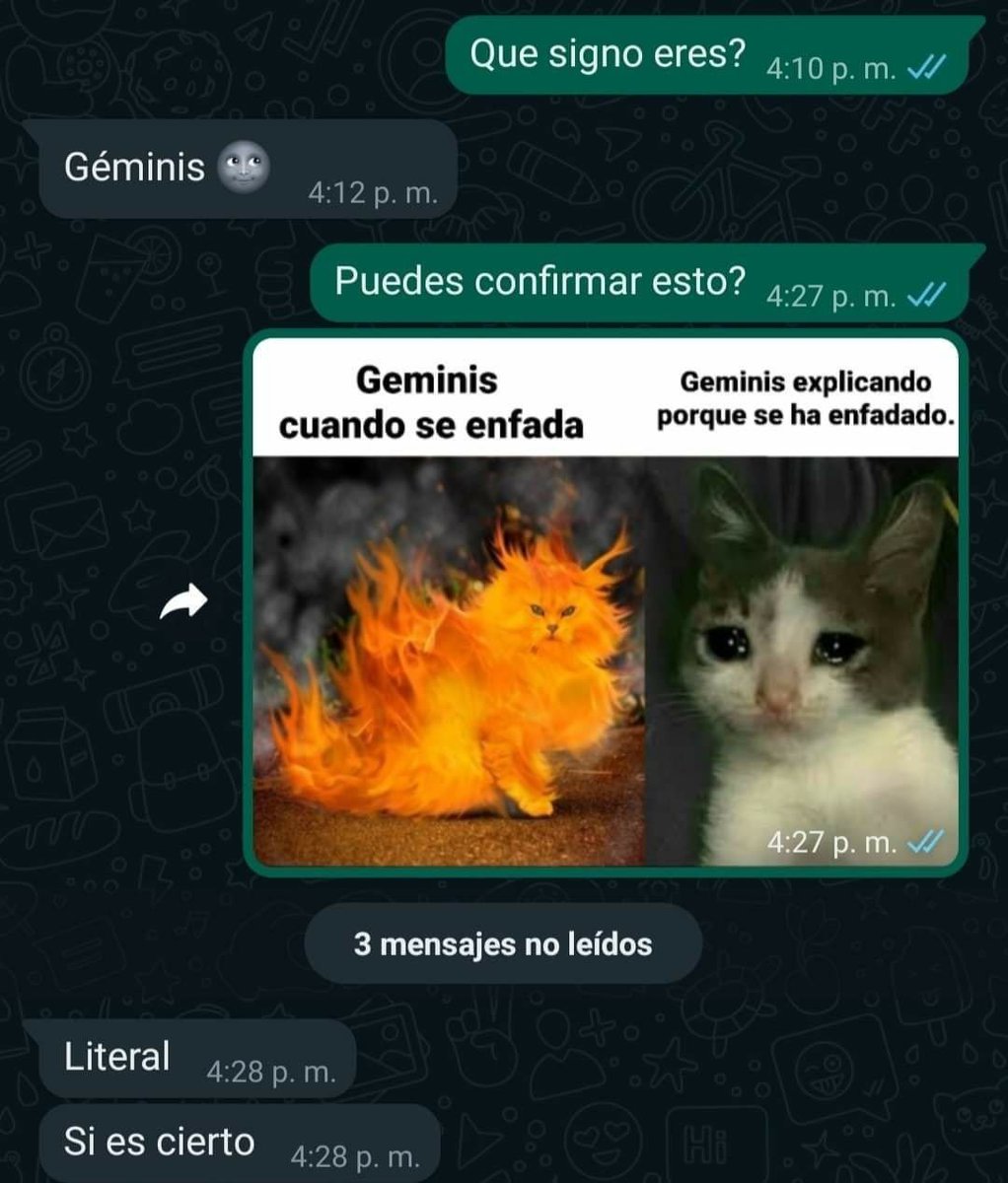 MexicoMagico's tweet photo. Si no me creen, inténtenlo ustedes mismos. 

Nos mandan capturas 🤣🤣🤣 https://t.co/N3yA7Neopv