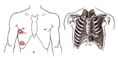 Thirty 3 Touch tweet media