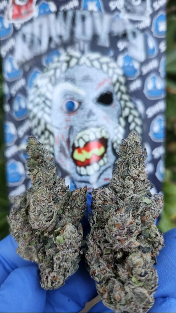 Rowdy #9 #Rowdy9 #TheBackpackBoyz