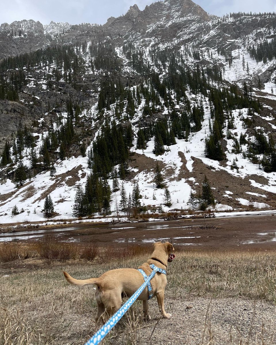 Happy gotcha day to this whirlwind of joy! Two years down, many more to go.