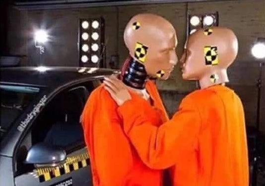 scale_banana's tweet image. When you both know it’ll end in disaster but you don’t care.