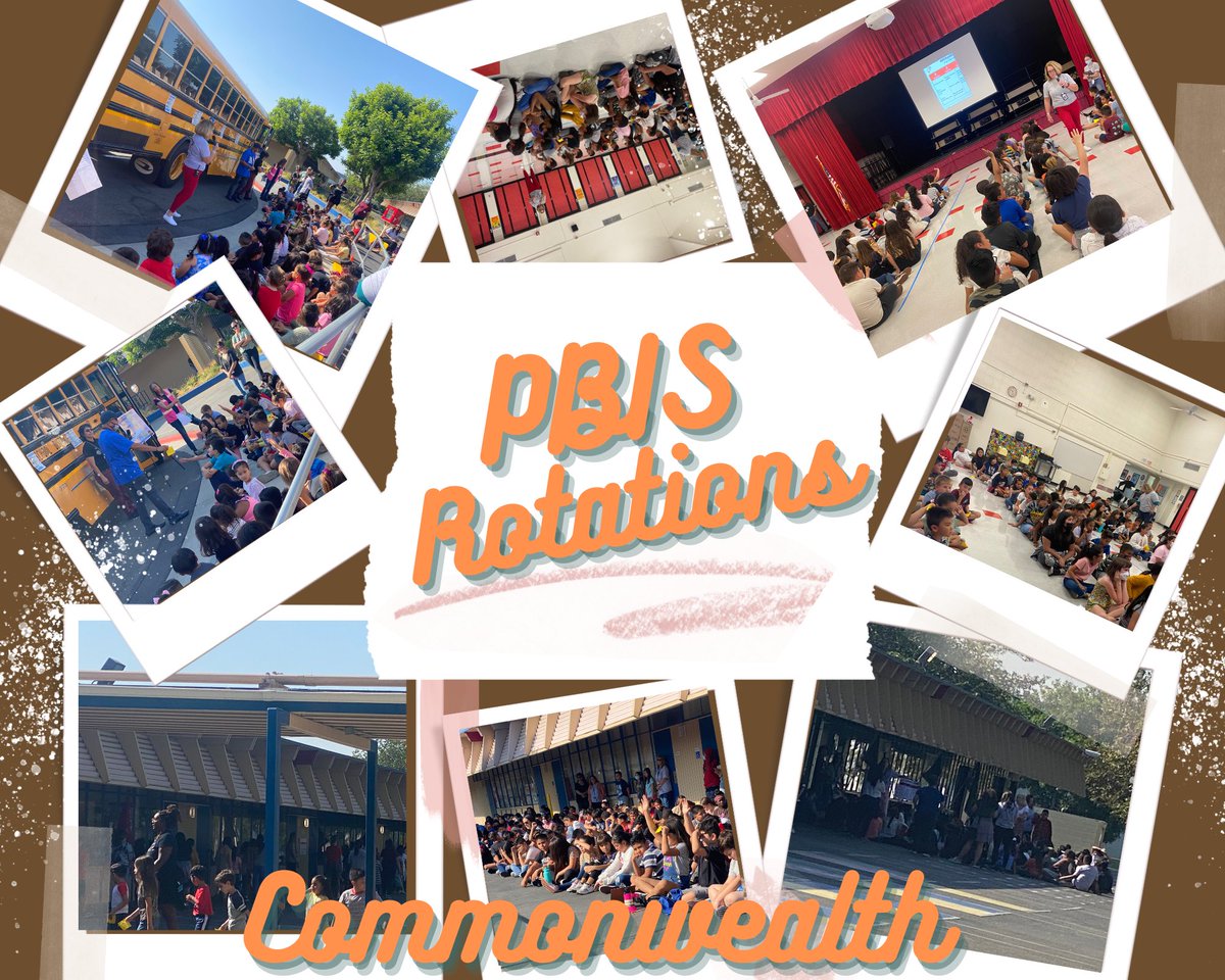 CW Tigers tweet media