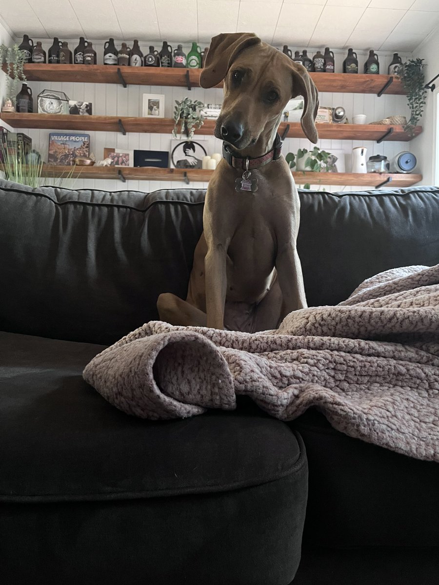 she’s annoyed because I turned off her favourite tv show