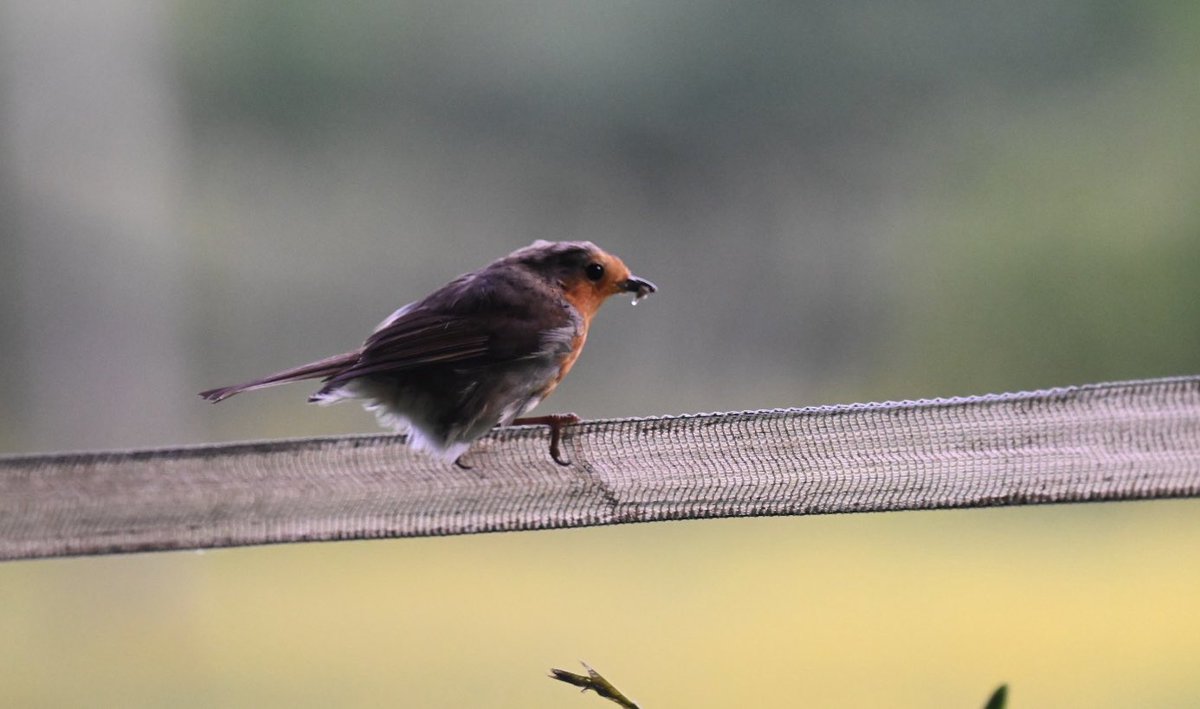longjon6ft9's tweet image. #WorldPhotographyDay happy world photography day. A few of my snaps from this year 😁📸
