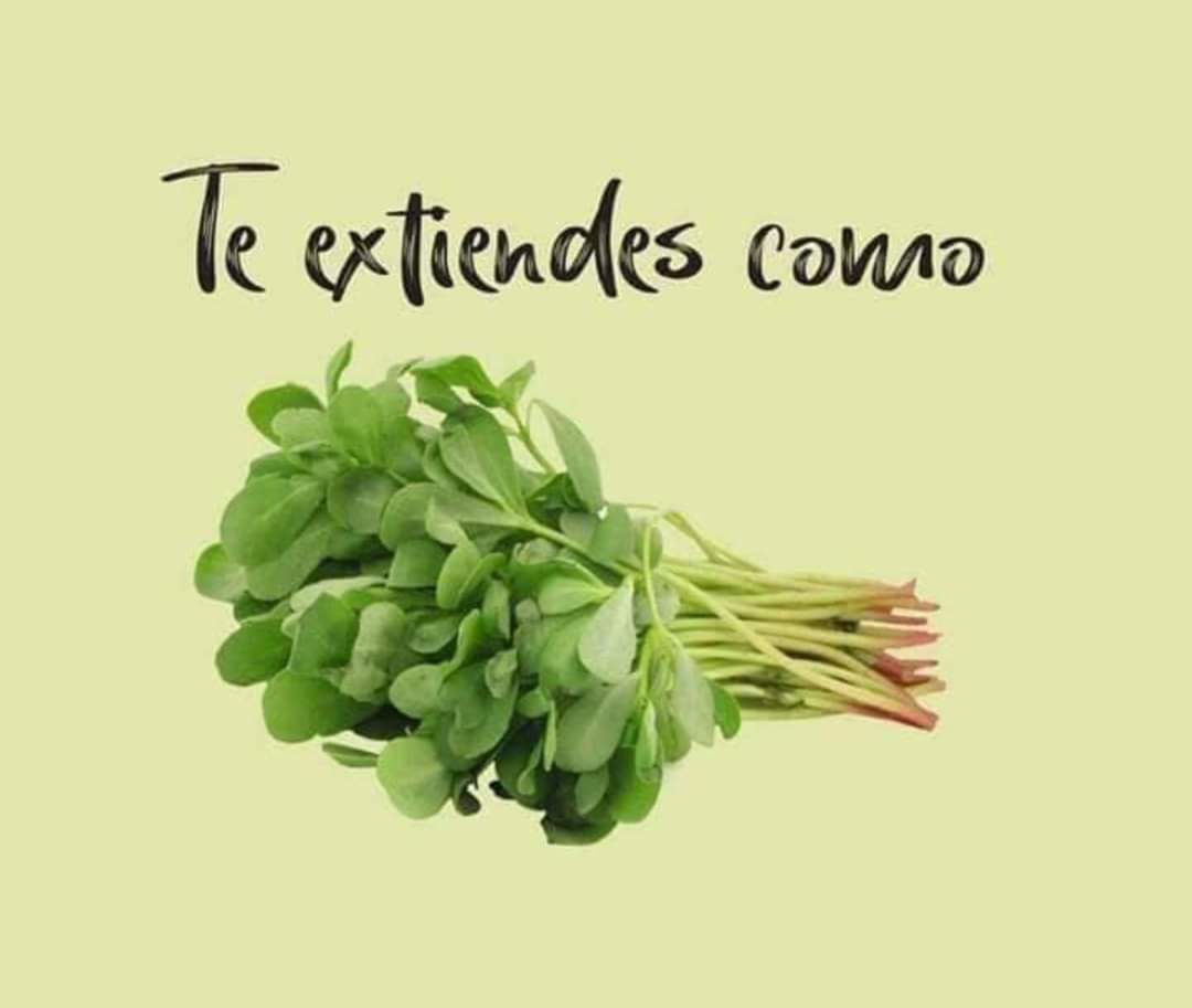 CI_CDMX's tweet photo. #MexicanoSoy 🇲🇽 || Solo un mexicano conoce el significado de estas imágenes.
Tu te las sabes? https://t.co/naVnukKHo9