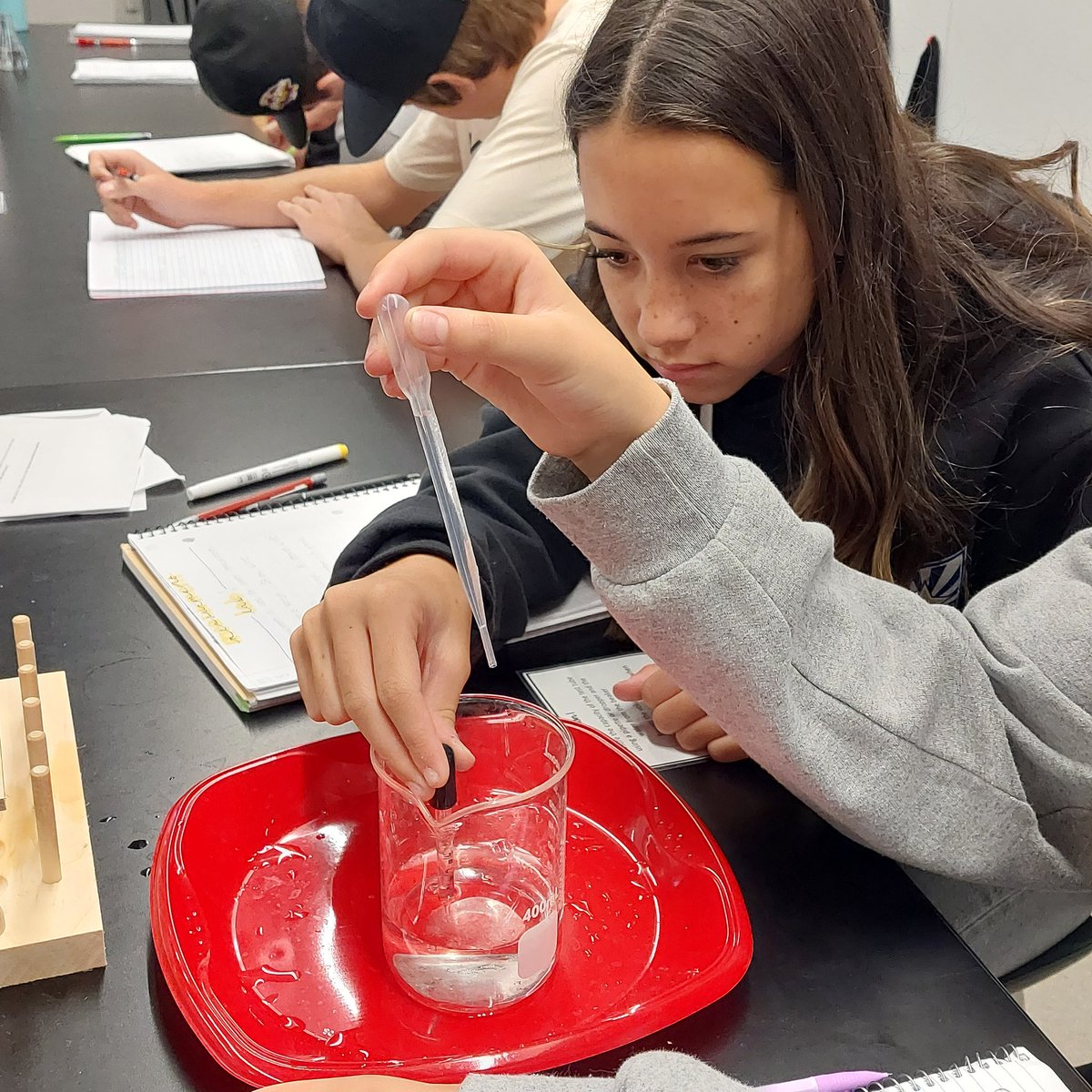 qcsciencecoach's tweet photo. All over the campus @eastmarkhs I saw great hands on activities using @AVID4College strategies and student engagement!  Big shout out to these amazing teachers!  Go Firebirds! #QCLeads #cuttingedgeatQCUSD. https://t.co/aFAziVQ9E9