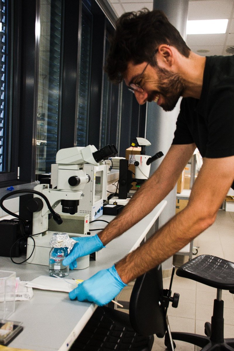 CEITEC_Brno's tweet photo. Day 5 of the #LISH22 #EMBOCourse 🔬 

Sharing knowledge continues... 👥💪

#CEITECScience https://t.co/U0x1FLKfbt