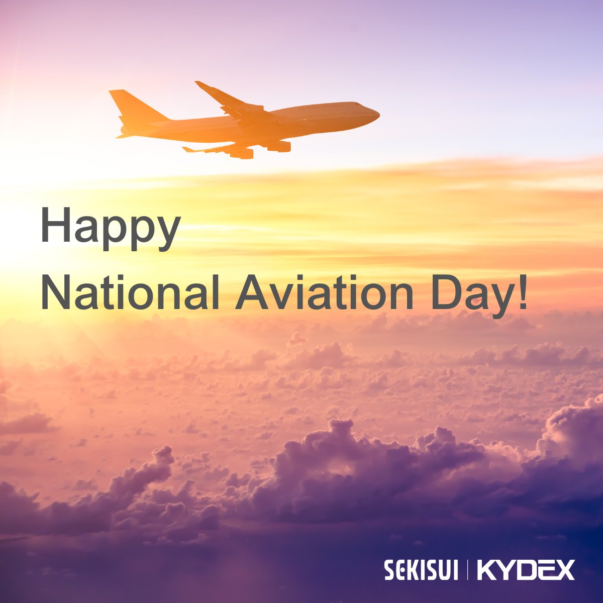 SEKISUI_KYDEX's tweet photo. Happy National Aviation Day! Today we celebrate the world of Aviation and say thank you to our amazing partners that enhance the passenger journey, anywhere they may go. https://t.co/6Np2aJsM0x