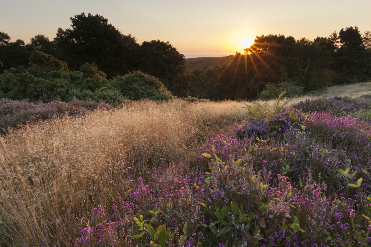 nationaltrust's tweet photo. Taking in a seascape or strolling in the hills. 

Where’s your favourite place to watch the sun go down after a long week? https://t.co/P01xgt9vyE