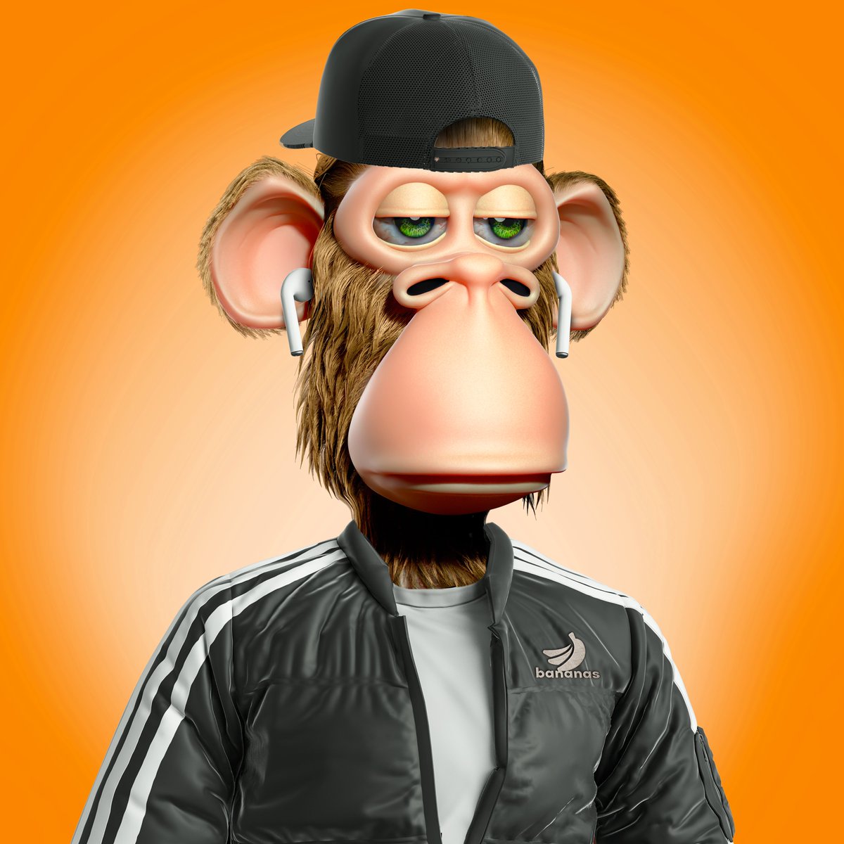 THE JUNGLE 🌴🌿 tweet media