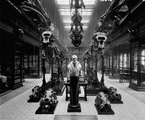 Two amazing photographs on #WorldPhotographyDay  showing the original <a href="/TeviotPlace/">AnatomicalMuseum</a> <a href="/AnatomyatEd/">Anatomy@Edinburgh</a> . This was how the museum looked before it's reconfiguration in the 1950s. The larger whale and dolphin skeletons were later donated to <a href="/NtlMuseumsScot/">National Museums Scotland</a>  #HistMed #Edinburgh #Anatomy