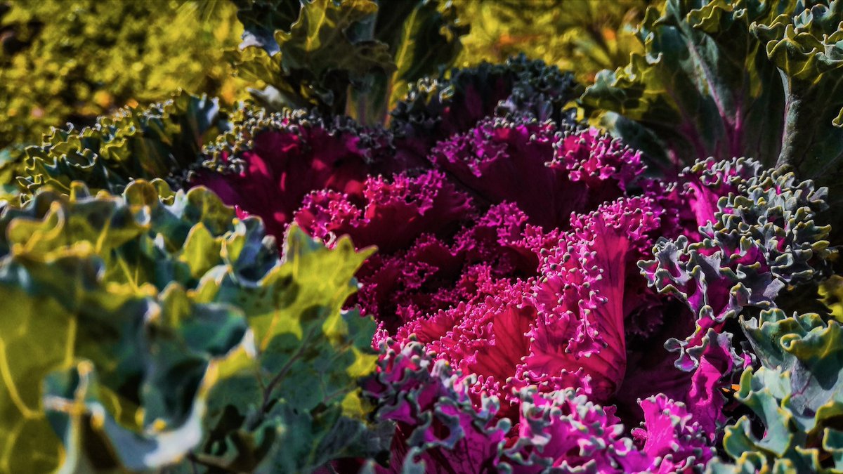 Environment911 tweet media