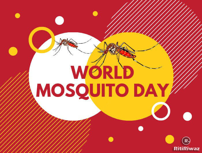 20 August is #WorldMosquitoDay. Mosquitoes are the most dangerous animal in the world, responsible for more than 1 million deaths each year.
ritiriwaz.com/world-mosquito…
#WorldMosquitoDay #WorldMosquitoDay2022 #MosquitoDay #Mosquito #MosquitoWeek #mosquitoes