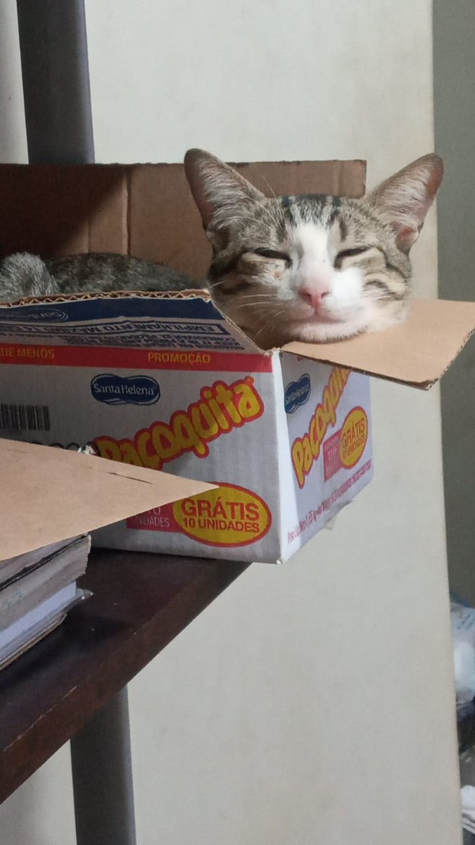 oceansenz's tweet photo. leandrinho galã https://t.co/qEb0jLAh2I