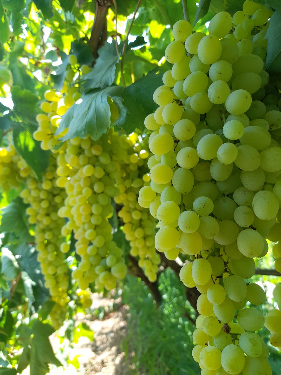 Manisalıların denizi ve tatili budur😂
<a href="/manisageyik/">Manisa Geyik</a>