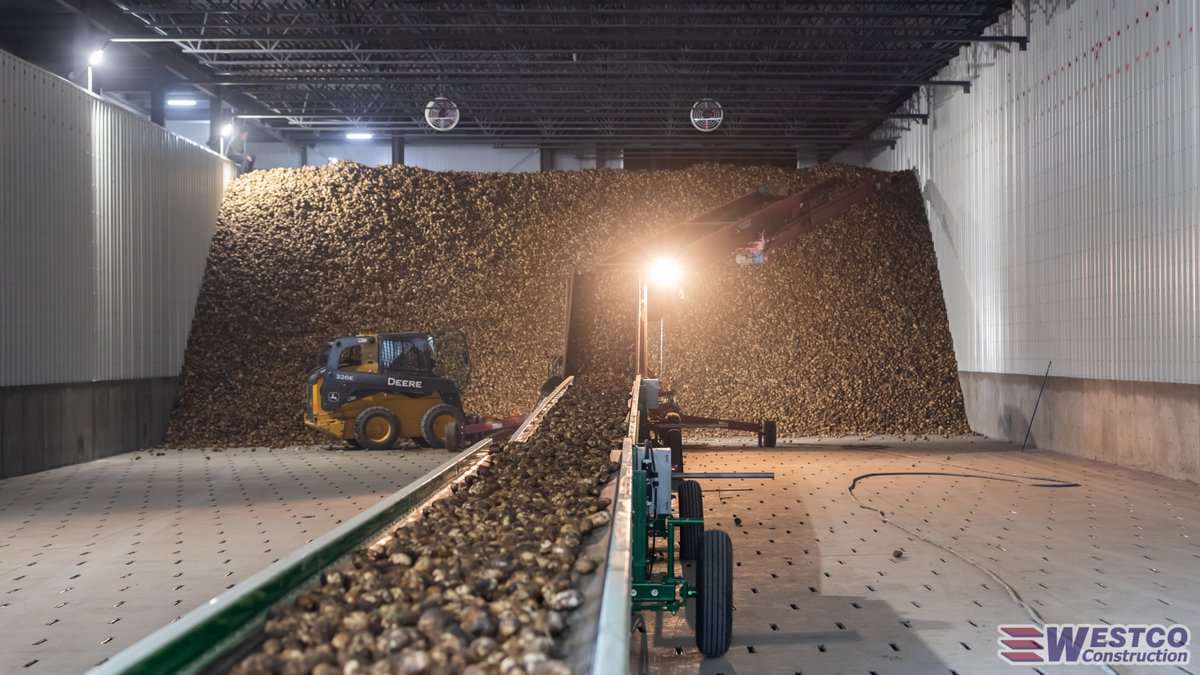WestcoLtd's tweet photo. Happy National Potato Day! If you are looking to build commercial storage, give us a call, we would love to assist you. #designbuildbetter #structualdesign #buildingalberta https://t.co/KoAVceBgmI
