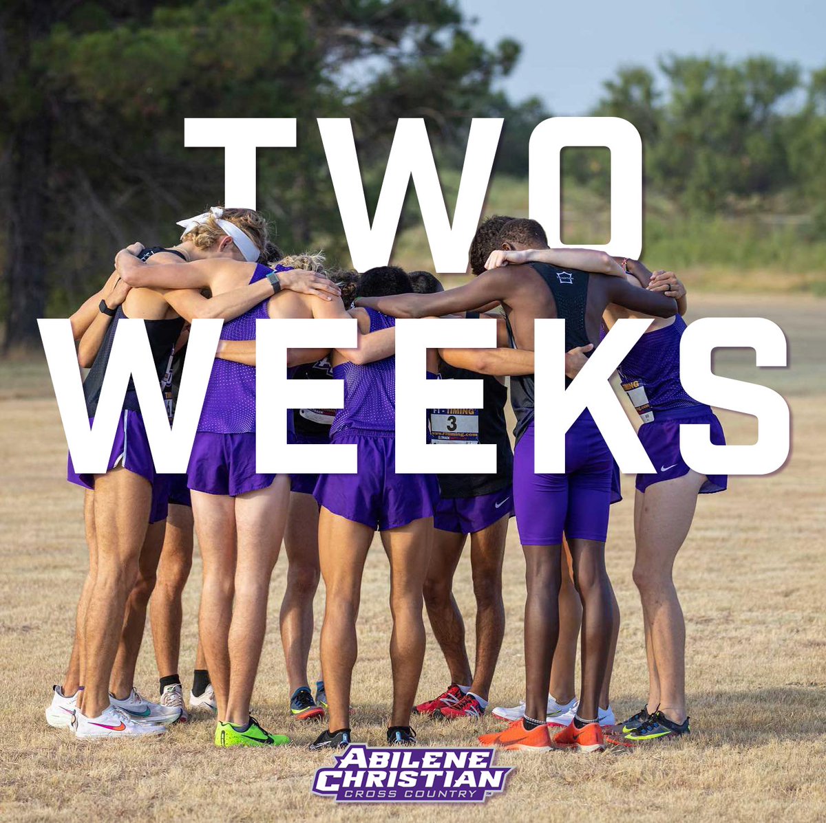 ACU Track & XC tweet media